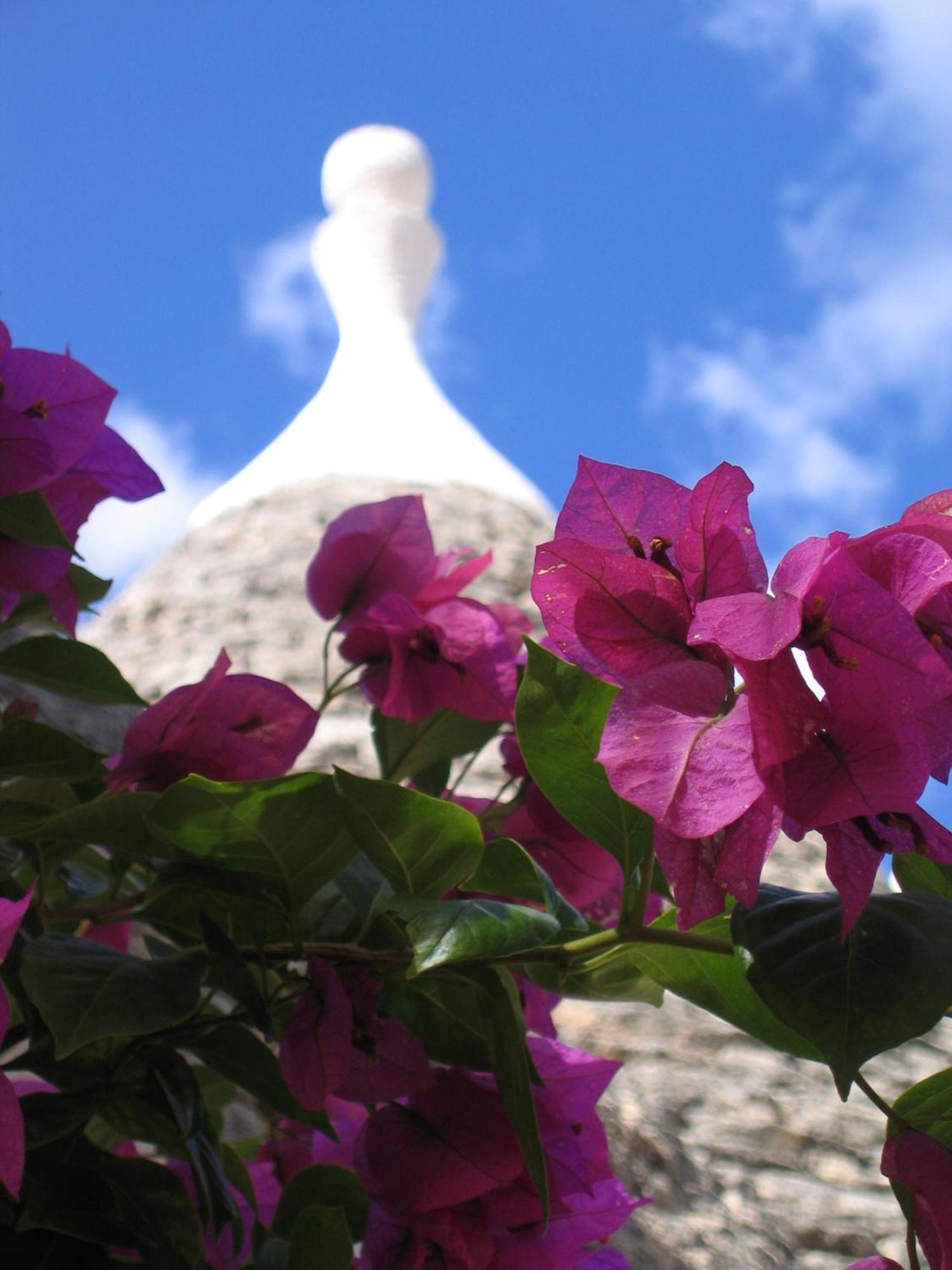 Vacanza In Puglia Alberobello Exterior foto